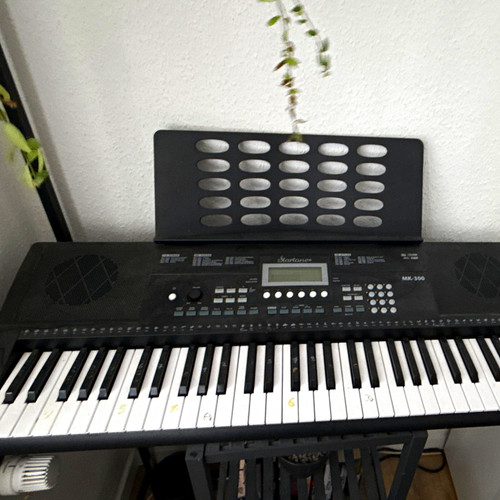 Startone 300 elektrisches - startone,