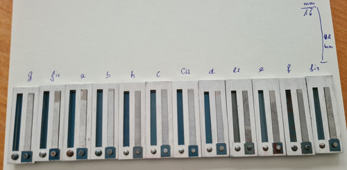 Akkordeon stimmplatten stk - stimmplatten, 12