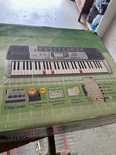Casio 100 elektrisches - lk-100,