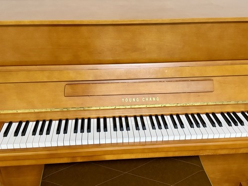 Young chang studio klavier - studio-klavier,