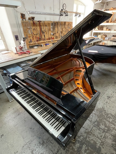 Bösendorfer 225 flügel - flügel, grand
