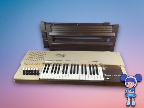 Bontempi electric chord - 13,