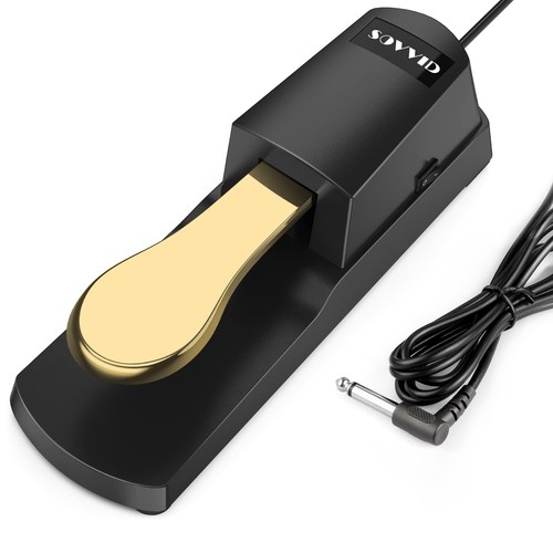 Sustain pedal für keyboard - pedal,