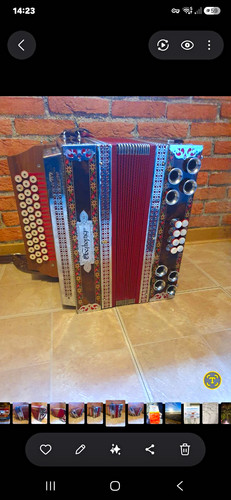 Steirische harmonika - steirische,
