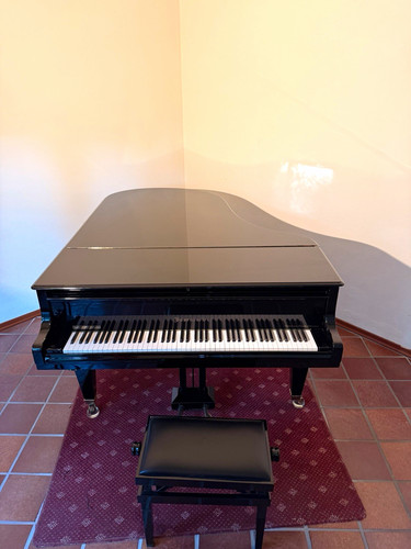 Bösendorfer akustischer