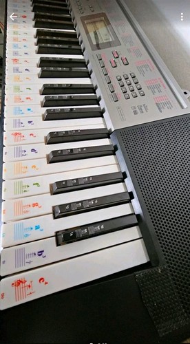 Casio 240 elektrisches - casio, lk-240